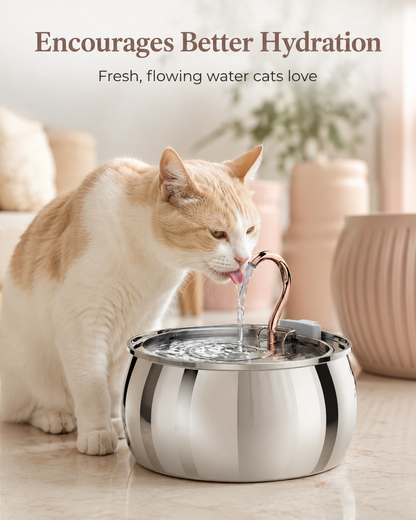Falantis: Wireless Cat Water Fountain 2.0