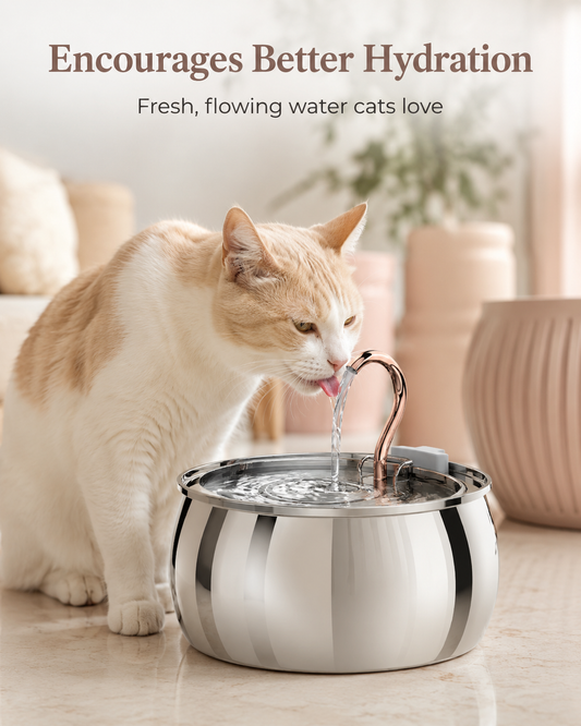 Falantis: Wireless Cat Water Fountain 2.0