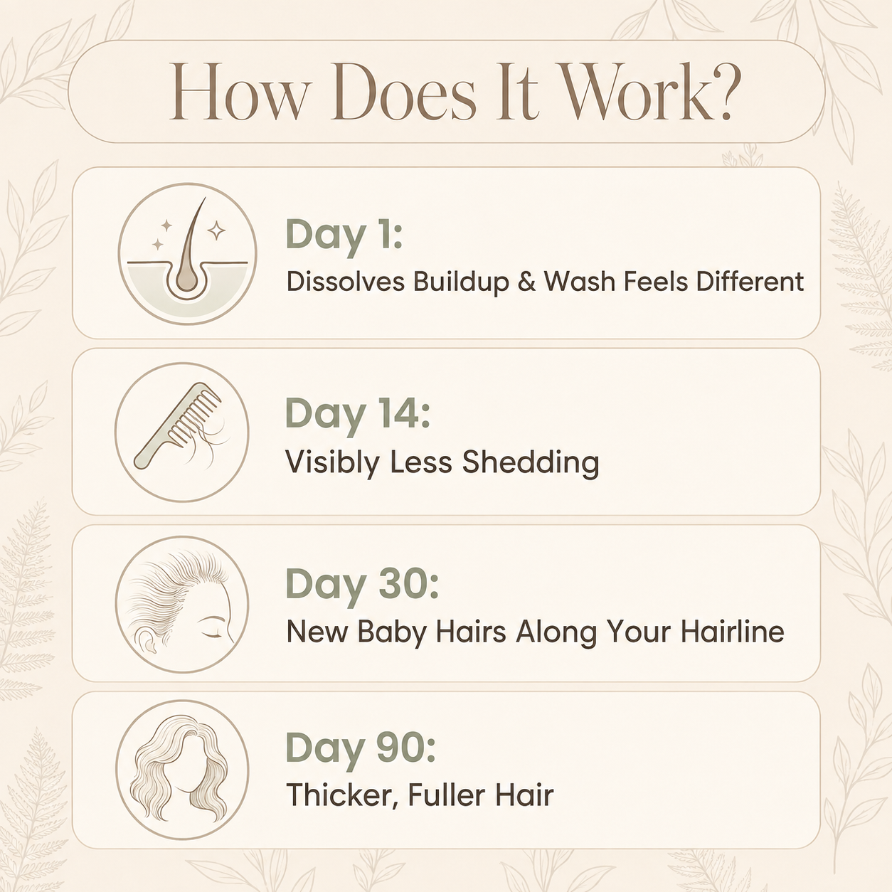 Korean Scalp Ritual Bar