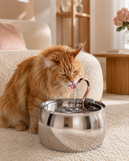 Falantis: Wireless Cat Water Fountain 2.0