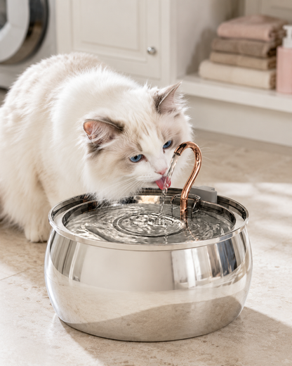 Falantis: Wireless Cat Water Fountain 2.0